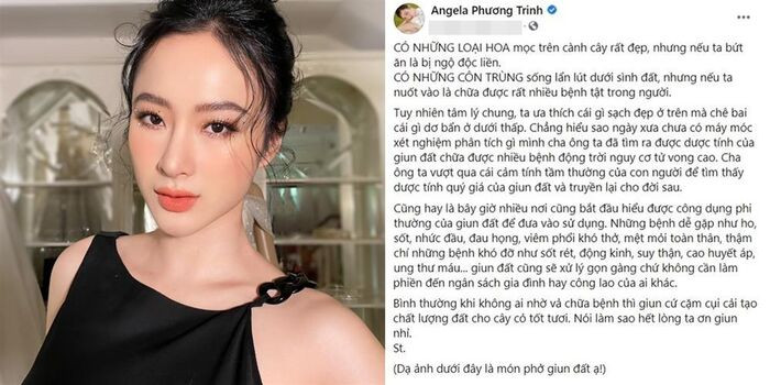 Angela Phương Trinh cùng bài đăng đang gây tranh cãi...
