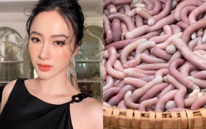 Không phải địa long, cũng là giun nhưng loại này lại là món ăn đặc sản, có tiền chưa chắc mua được Ảnh 2