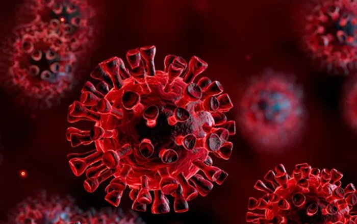 Nhiều nước phát hiện biến chủng SARS-CoV-2 mới, WHO theo dõi biến thể có khả năng kháng vaccine Ảnh 2