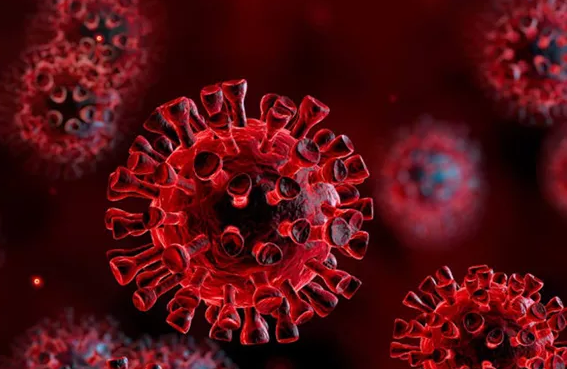 Hình đồ họa về virus SARS-CoV-2. (Ảnh: Medical News Today)