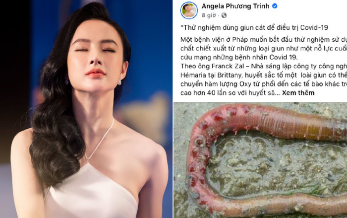 Sẽ xử lý nghiêm những người nổi tiếng chia sẻ thông tin giun đất chữa khỏi Covid-19 Ảnh 2