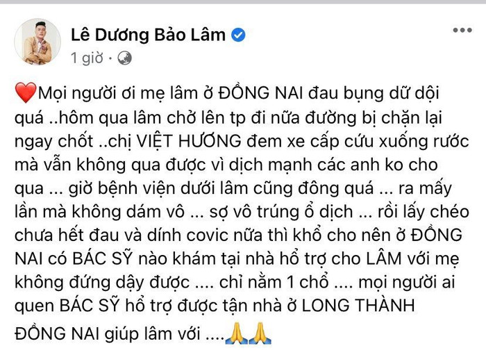 Việt Hương tiếp tục điều xe giúp mẹ Lê Dương Bảo Lâm cấp cứu Ảnh 4