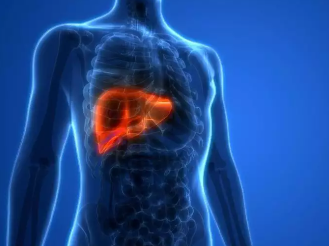 6 cơ quan chịu tác động lâu dài sau khi mắc Covid-19 Ảnh 3