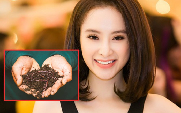 Angela Phương Trinh nhận 'gạch đá' khi đăng clip nuốt giun đất sống trị Covid-19, mặc quy định xử phạt Ảnh 2