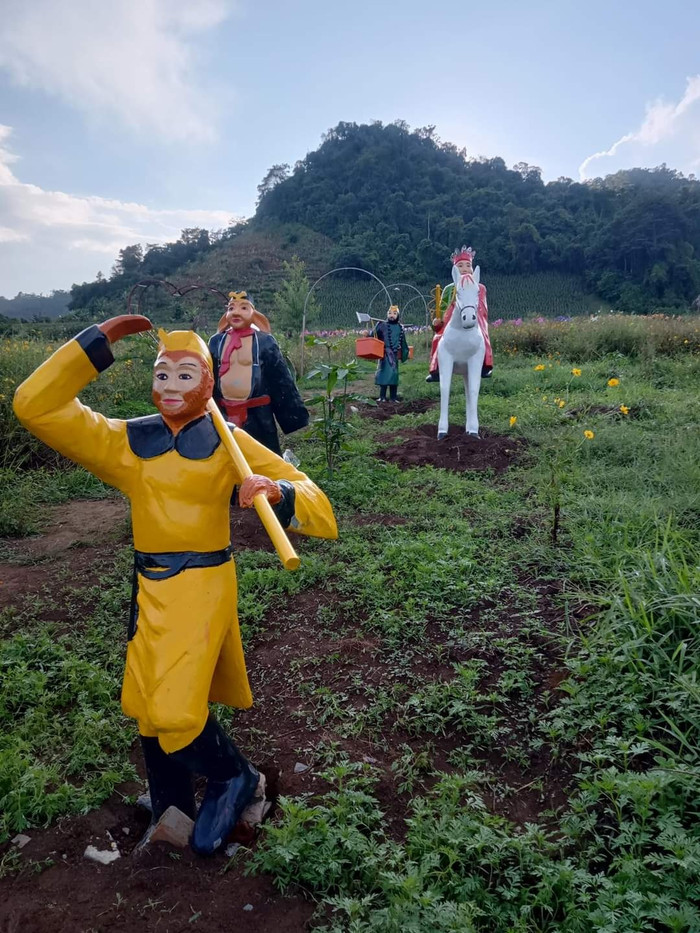 4 thầy trò Đường Tăng, phiên bản 'lạc vào giữa đồi chè'. (Ảnh: Mạng xã hội).