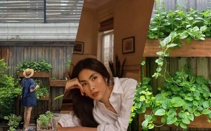 Vườn rau như trong mơ của Tăng Thanh Hà khiến bao người khao khát Ảnh 2