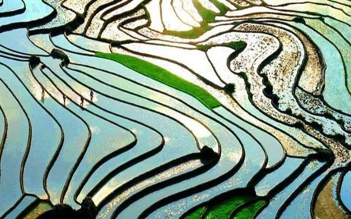 Sín Chải - Linh hồn vẹn nguyên của núi rừng Sa Pa Ảnh 2