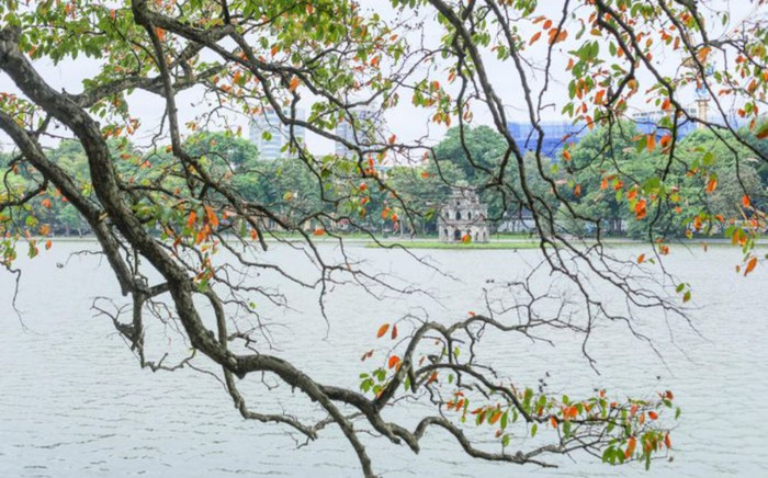 Khoảnh khắc mùa thu Hà Nội lay động lòng người Ảnh 2