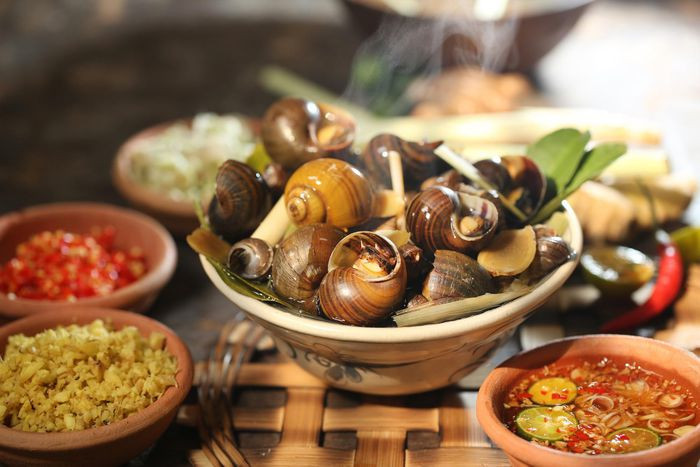 Thố ốc luộc chấm mắm gừng cay ngon không cưỡng được