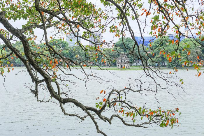 Lá dần chuyển sang vàng báo hiệu mùa thu đã đến rồi
