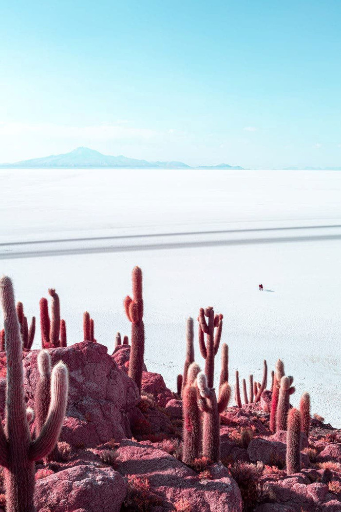 Đẹp lịm tim những góc ảnh chụp bằng kỹ thuật hồng ngoại Ảnh 3