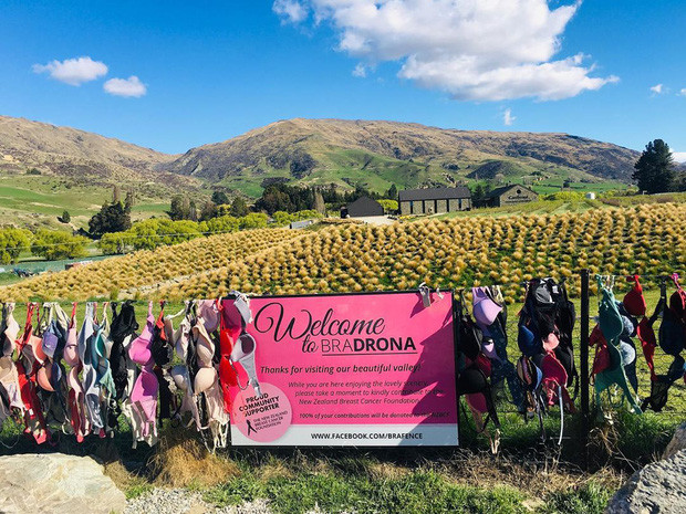 Nhiều tài xế nam sẽ vô thức nhìn qua khi đi ngang qua bức tường đồ lót, nơi dễ gây ra nhiều vụ va chạm giao thông khác nhau.