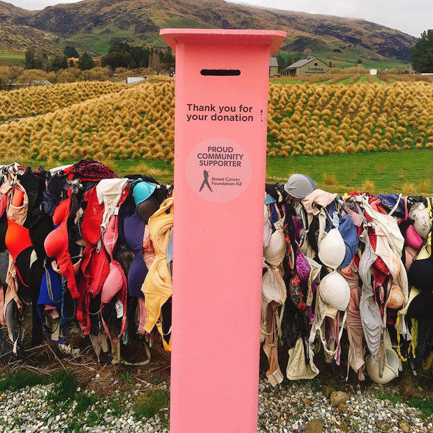 Đến hàng rào, người ta sẽ thấy một tấm bảng màu hồng cùng một chiếc thùng với nội dung kêu gọi quyên góp cho Quỹ phòng chống ung thư vú ở New Zealand.