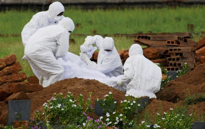 Ấn Độ đối mặt với virus truyền từ dơi nguy hiểm hơn SARS-CoV-2 Ảnh 2