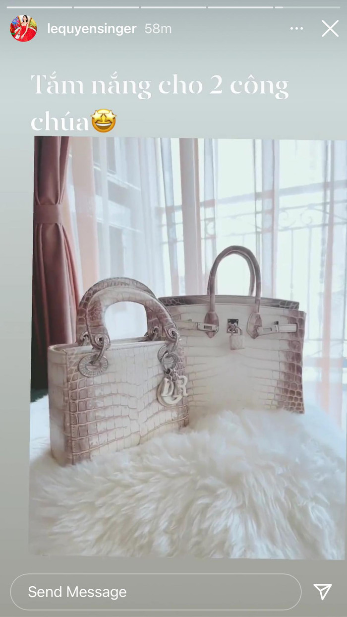 Dòng túi này của nhà mốt Pháp vừa hiếm lại đắt đỏ không phải ai cũng may mắn mua được và Lệ Quyên là số hiếm ngôi sao Việt sở hữu được 