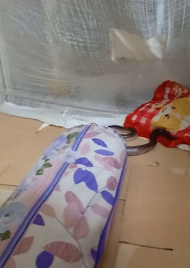 Con rắn nằm chễm chệ cạnh gối. 