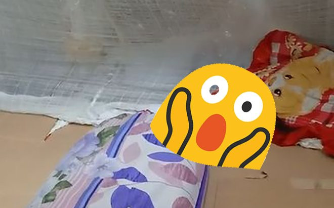 Trăng thanh gió mát ra hè nằm ngủ, cô gái hoảng hồn khi thấy thứ gì đó lạnh lạnh dưới chân Ảnh 2