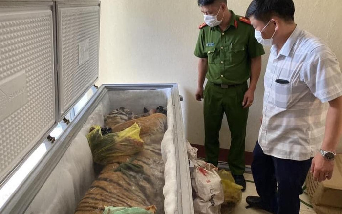 Hà Tĩnh: Trữ 'chúa sơn lâm' trong nhà để nhận 9 triệu tiền công Ảnh 2