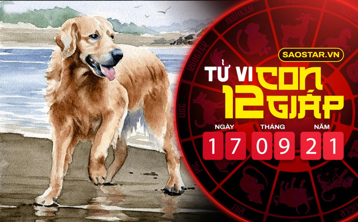Tử vi thứ 6 ngày 17/9/2021 của 12 con giáp: Sửu hao tài tốn của, Tuất vượng vận đào hoa Ảnh 2