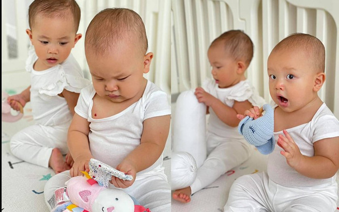 Đây là cách Leon phản ứng khi bị chụp hình lén trong lúc giành đồ chơi Ảnh 2