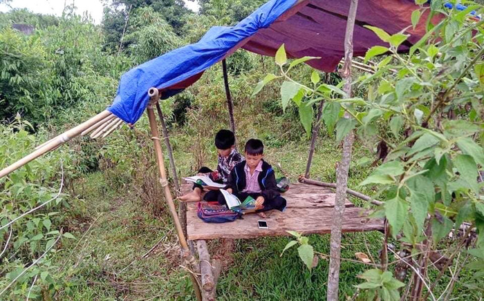 Nhà nằm ở vùng sâu, học sinh lớp 6 lên núi dựng lán dò sóng 3G học online Ảnh 2