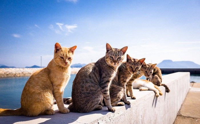 5 địa điểm du lịch kỳ lạ không ai nghĩ rằng có tồn tại trên thế giới Ảnh 2