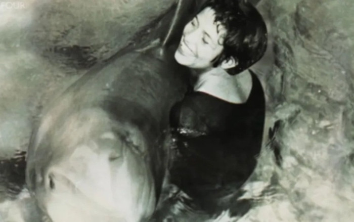 Cá heo yêu say đắm cô gái mới gặp, biết ghen tuông và tự tử khi phải xa người tình Ảnh 2