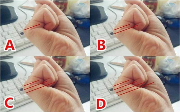 Nắm bàn tay lại rồi đếm đường chỉ, bao giờ giàu nhìn cái ra ngay Ảnh 2