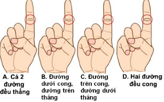 Mất 3 giây xem đường chỉ ngón tay trỏ, biết ngay tương lai có số làm sếp hay cả đời làm thuê Ảnh 2
