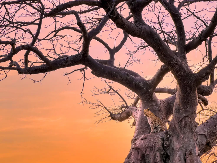 Nhiếp ảnh gia du lịch cũng thử quay phim bằng chế độ Cinematic và ấn tượng với chức năng quay phim điện toán mới của iPhone. Đặc biệt, có thể thay đổi điểm lấy nét trên khung hình trong quá trình hậu kỳ.