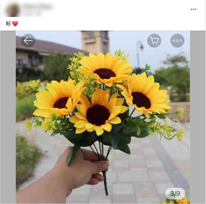 Người nhà và quản lý Phi Nhung ngầm thông báo nữ ca sĩ đã có tiến triển sau thời gian chống chọi Covid-19 Ảnh 3