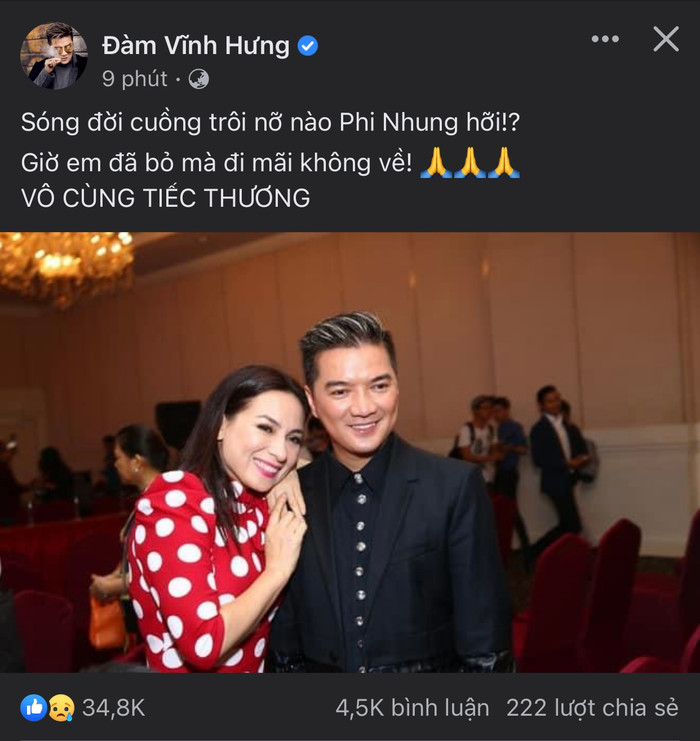 Đàm Vĩnh Hưng mượn lời ca khúc Sông quê nhắn gửi Phi Nhung: 'Giờ em đã bỏ mà đi mãi không về' Ảnh 2