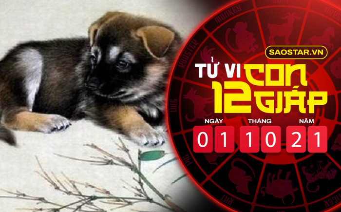 Tử vi hôm nay thứ 5 ngày 30/9/2021 của 12 con giáp: Mão được Thần Tài chiếu cố, Tuất cẩn thận bị lừa gạt Ảnh 2