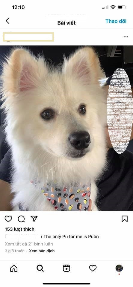 Dòng trạng thái được cho là đá.p trả khéo léo của anh chàng