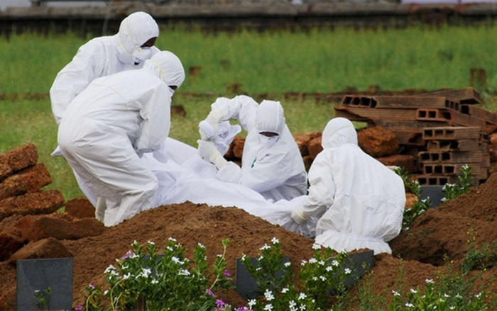 Ấn Độ phát hiện kháng thể với virus Nipah ở 2 loài dơi Ảnh 2