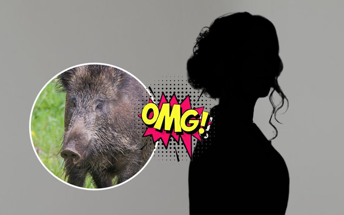 Dở khóc dở cười: Nữ ca sĩ đình đám lên mạng kể lể vì bị lợn rừng... giật túi xách Ảnh 2