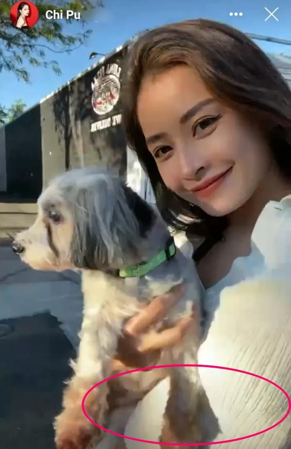 Với những khoảnh khắc gần đây, Chi Pu bị cư dân mạng 'soi' vòng bụng to khác thường. 