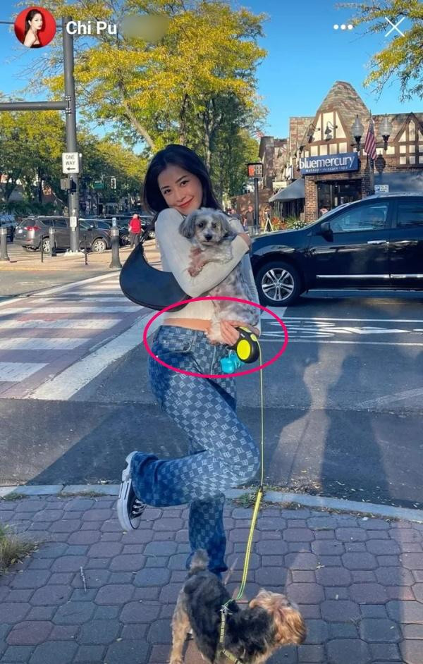 Trong một số khoảnh khắc, người đẹp pose dáng cùng một chú cún, dù đã được pet cưng 'che chắn' nhưng phần bụng tròn của nữ ca sĩ vẫn lộ ra dưới lớp áo. 