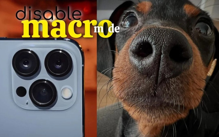 iPhone 13 Pro không thể tắt chế độ chụp ảnh macro, đây là giải pháp Ảnh 2