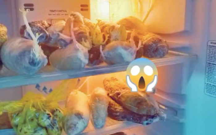 Trở lại phòng trọ sau 3 tháng tránh dịch, cô gái tức tốc mở tủ lạnh kiểm tra và cái kết bất ngờ Ảnh 2