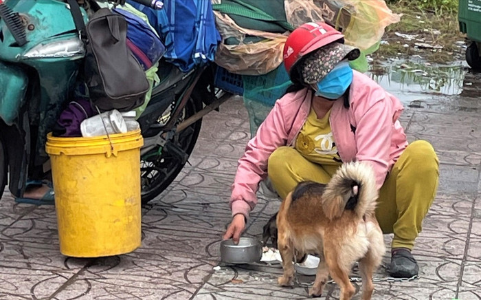 Chính quyền thừa nhận thiếu sót trong vụ tiêu hủy 15 chú chó ở Cà Mau Ảnh 2