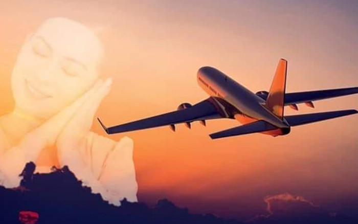 3 chuyến bay đặc biệt 'không vé khứ hồi' đưa nghệ sĩ Việt về nhà khiến khán giả cay khóe mắt Ảnh 2