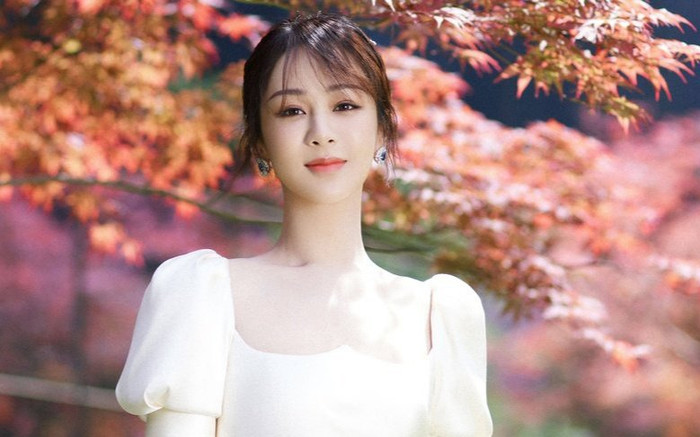 Dương Tử thắng vụ kiện antifan sau hơn 1 năm ròng rã, netizen hả hê: Cần phải bồi thường nhiều hơn nữa Ảnh 2