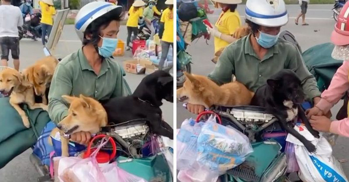 Bác sĩ Trương Hữu Khanh: 'Chó chỉ cần tắm rửa sạch sẽ là không thể lây Covid-19 được' Ảnh 1