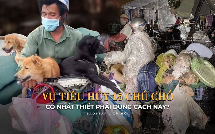 Vụ tiêu hủy 15 chú chó: Có nhất thiết phải dùng cách này? Ảnh 2