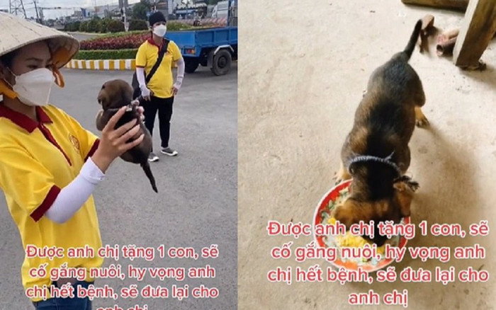 Chú chó duy nhất may mắn được vợ chồng ở Cà Mau tặng lại trên đường về quê sẽ sớm được về với chủ nhân Ảnh 2