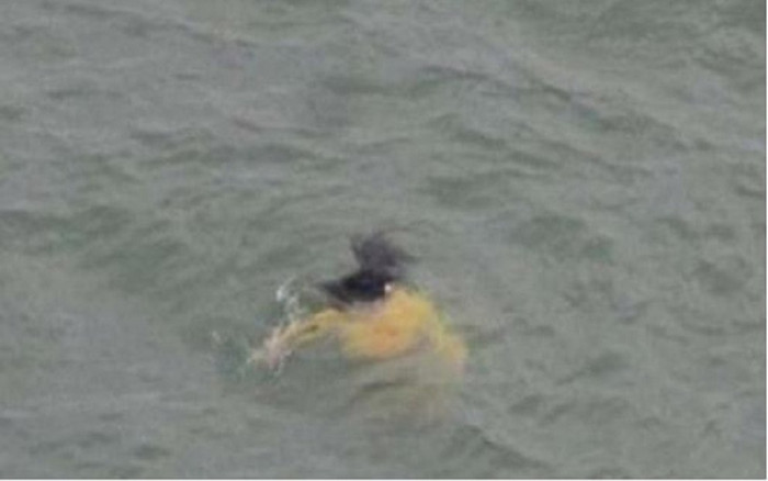 Lao xuống sông cứu cô gái đang chới với, ông lão đột nhiên bỏ mặc, lẩm bẩm quay lên bờ Ảnh 2