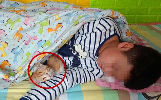 Thường xuyên bị bắt nạt, bé trai 9 tuổi bị trầm cảm và hành động mất kiểm soát khi thấy người lạ Ảnh 2