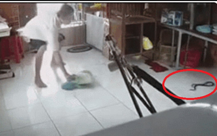 Vợ và con nhỏ đang nằm ngủ phát hiện rắn trườn vào nhà, chồng vào ứng cứu rồi run rẩy khi chứng kiến Ảnh 2
