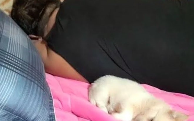 Say khướt rồi vô tình nằm đè lên chó cưng ngay trên livestream, nam streamer phải dừng kênh vô thời hạn Ảnh 2